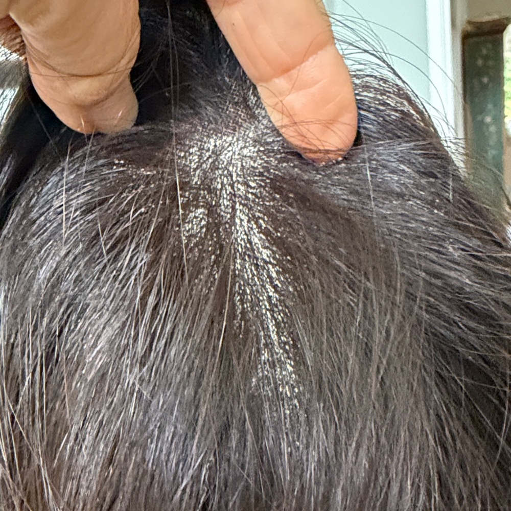 Dimples Hair Clio 18 m synthetic hair topper I - Picture 6 of 8